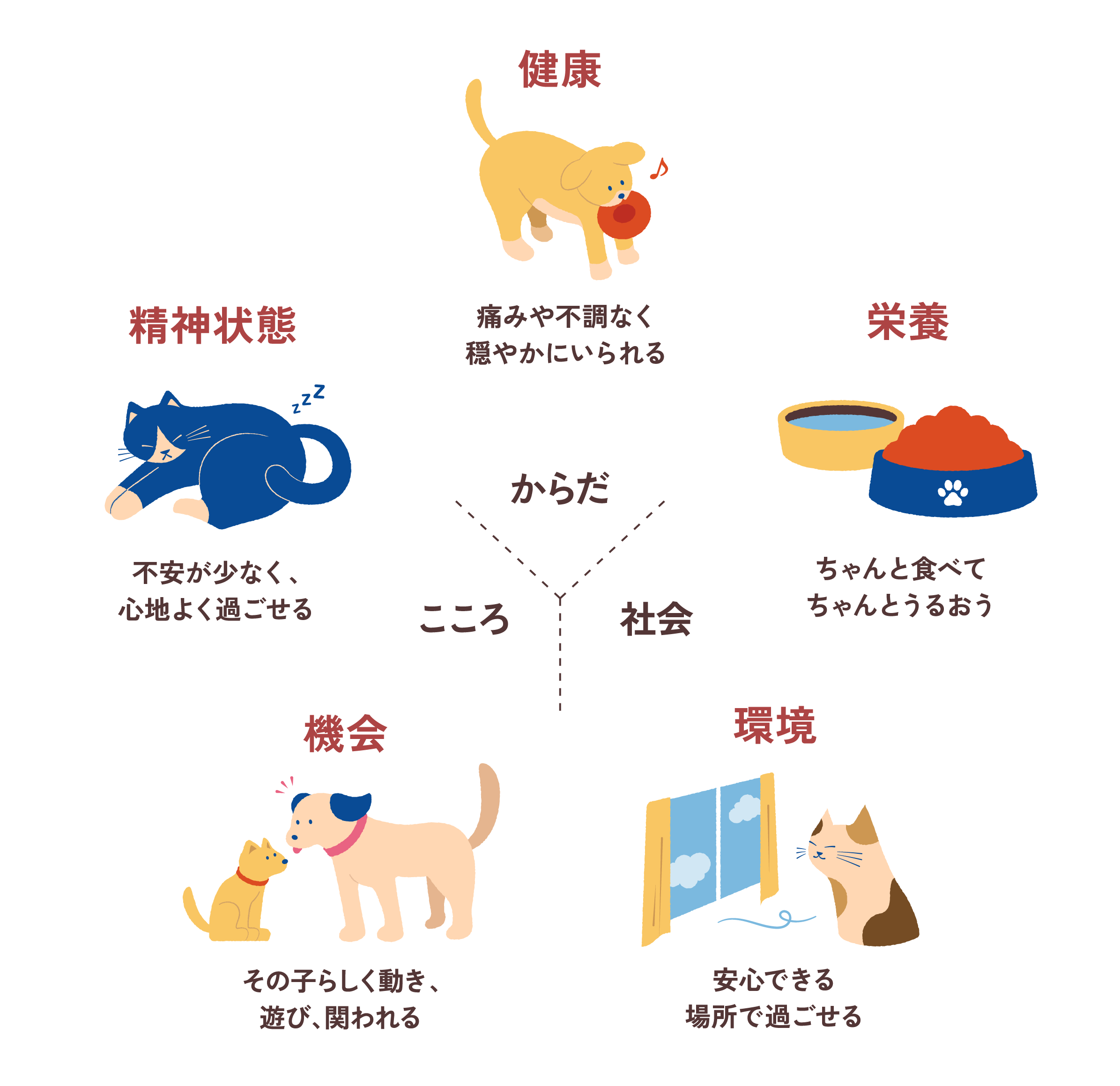 5つの視点の図解。こころ・からだ・社会を中心に、健康(痛みや不調なく穏やかにいられる)、栄養(ちゃんと食べてちゃんとうるおう)、精神状態(不安が少なく、心地よく過ごせる)、機会(その子らしく動き、遊び、関われる)、環境(安心できる場所で過ごせる)の5つの領域を表す