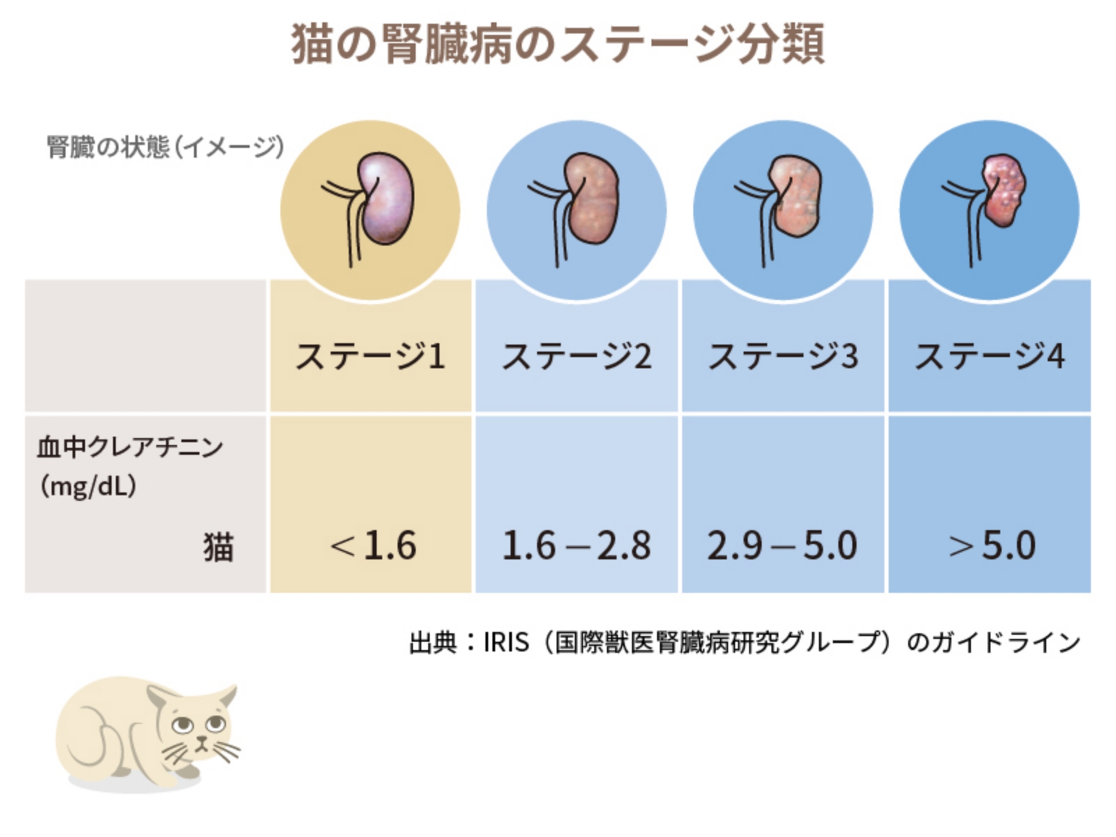猫の腎臓病のステージ分類