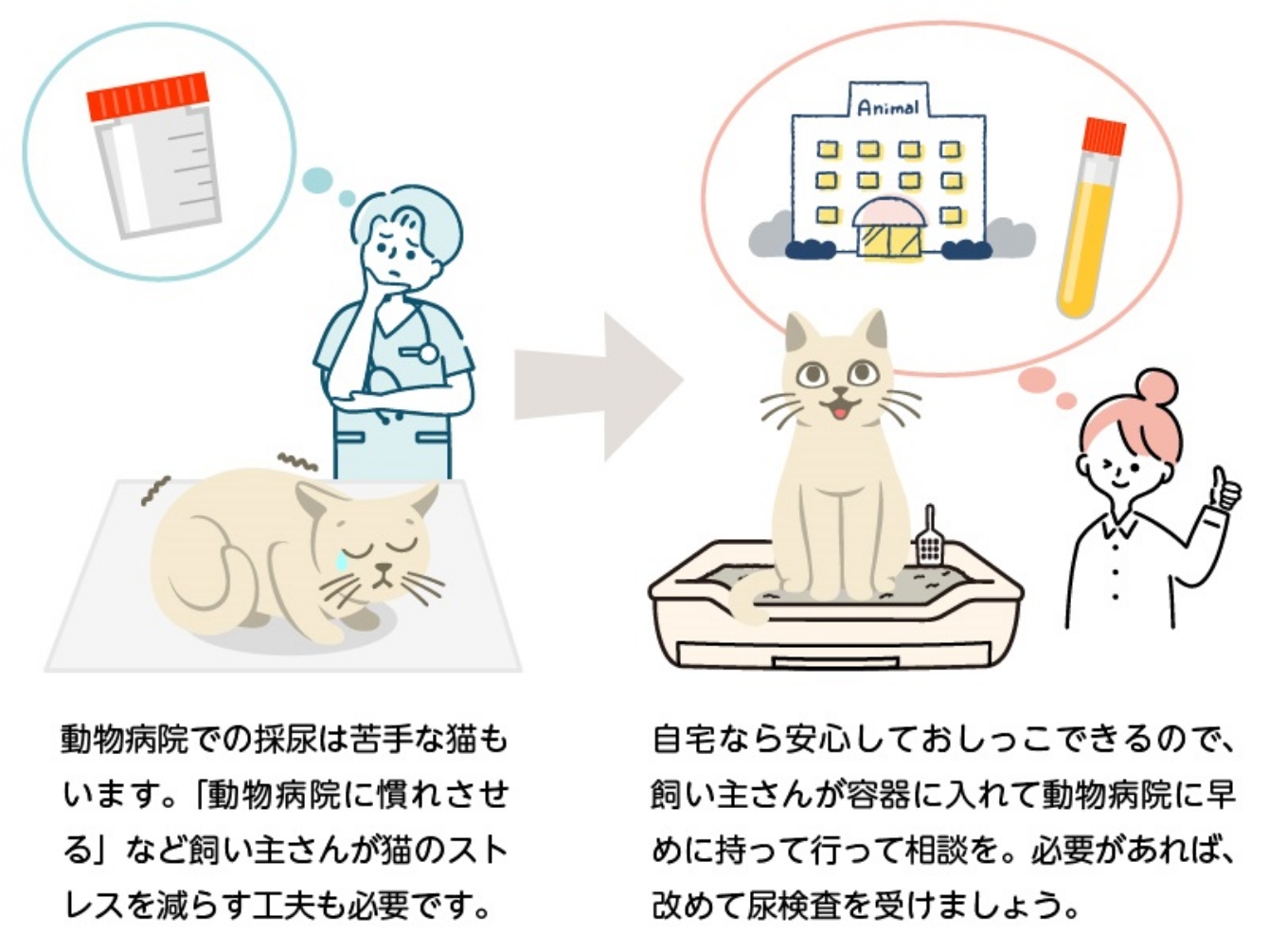 動物病院での採尿は、猫にとってはストレスになることもあり、検査項目の数値に影響が出る可能性もあります。自宅なら安心しておしっこできるので、飼い主さんが容器に入れて動物病院に持っていくことで、より普段の状態に近い数値を検査できます。