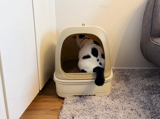 システムトイレを用意する