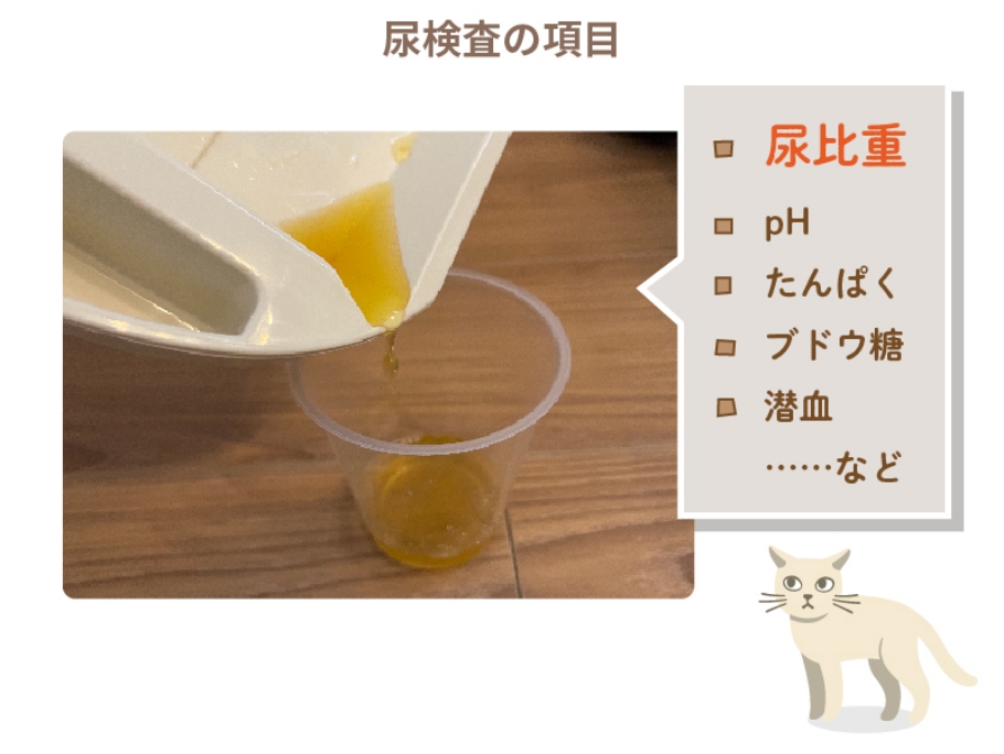 尿検査の項目 pH、たんぱく、ブドウ糖、潜血など