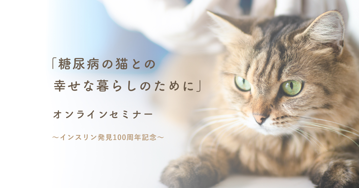 糖尿病の猫との幸せな暮らしのために」オンラインセミナー～インスリン 