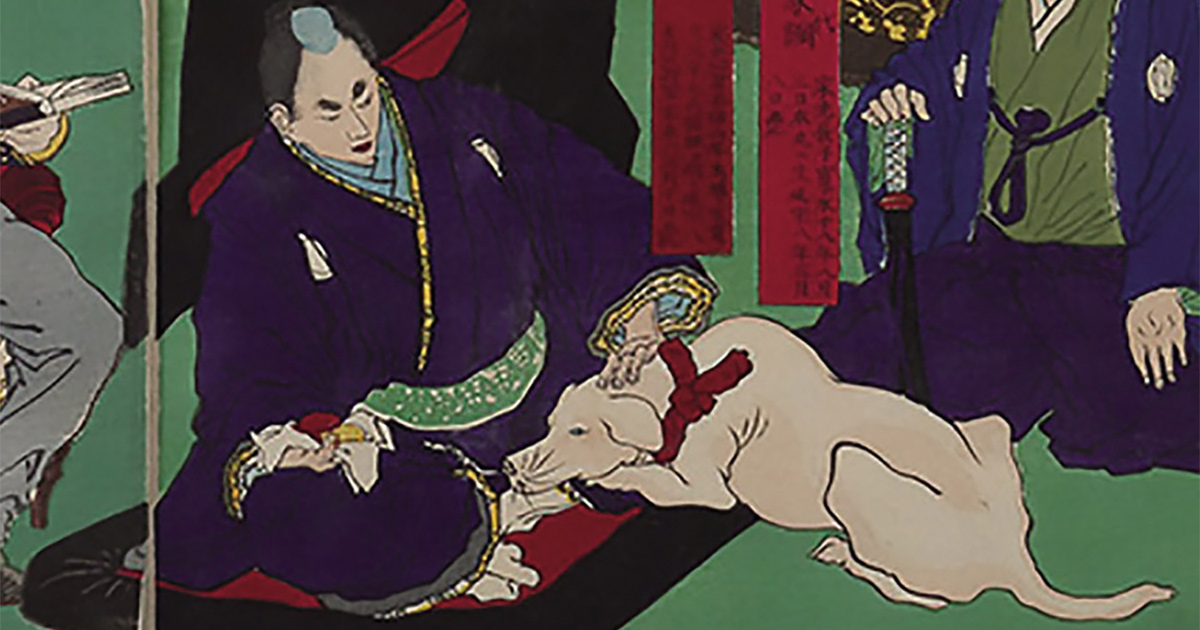 日本最古のシェルター？ 徳川綱吉、慈悲あふれる「御囲」から動物愛護